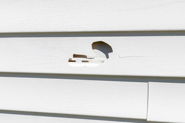 Reliable Wallace, FL Junk Removal Solutions